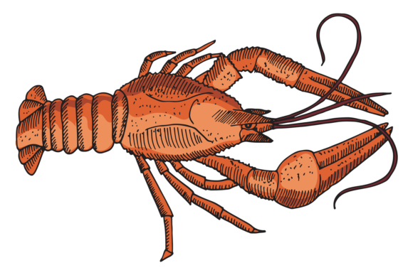 Download Red Lobster Drawing. Seafood Restaurant - Premium Bundle